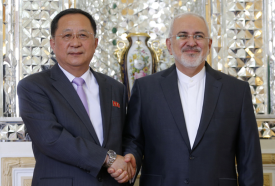 朝鲜外相李勇浩与伊朗外长扎里夫会面（韩联社）