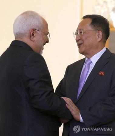 朝鲜外相李勇浩与伊朗外长扎里夫会面（韩联社）