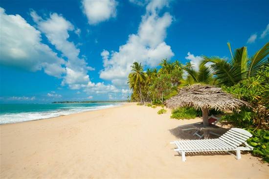 双胞胎溺亡元凶或是离岸流 遇上咋自救?