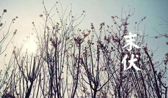 天高月明：伏日未尽 防暑降温不能放松