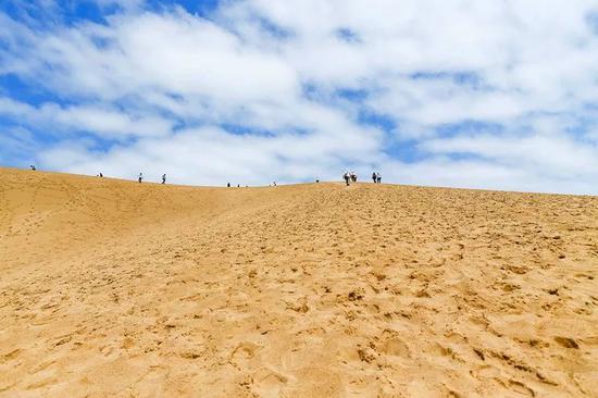 日本老人自掏腰包到中国沙漠植树 为侵略历史道歉