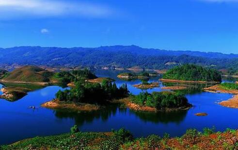 QQ截图20180815083947 QQ截图20180815083947