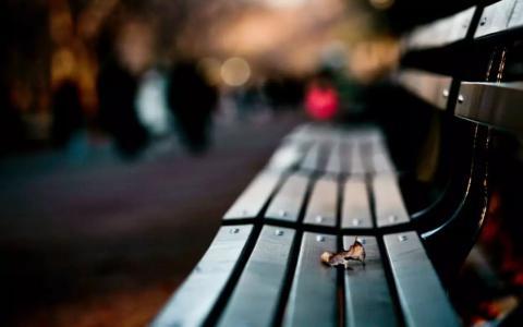 为什么秋季的气候和物候容易引发伤感呢？