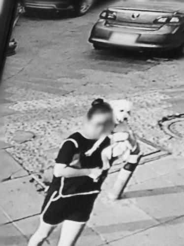 七旬老太小区遛弯时被狗咬伤 狗主人见状抱狗就溜