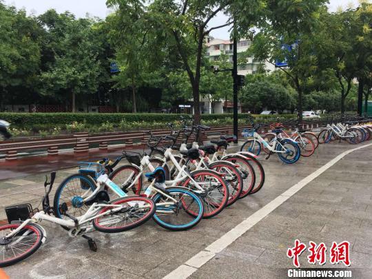 图为：被台风吹倒的共享单车?！∏糠?摄