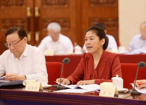 段青英委员发言。