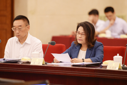 吴晶委员发言。