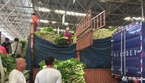 山东菜价上涨商贩直呼吓人 市民:吃菜不如吃肉划算