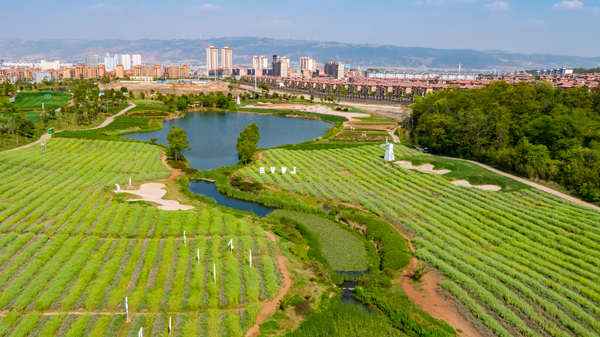 137205722_15272252366161n 137205722_15272252366161n