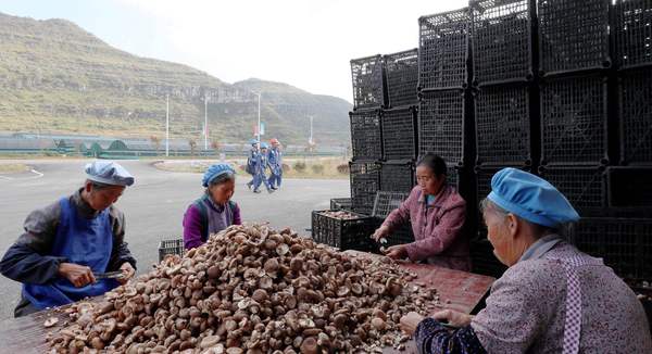 微信图片_20180905151223