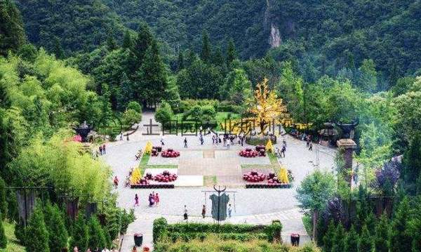 景区或降价或免