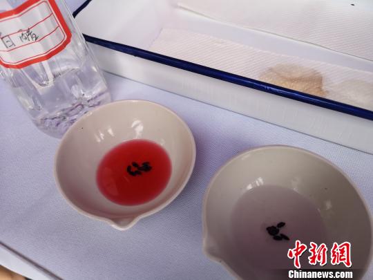 图为两江新区2018年“全国质量月”活动现场，工作人员教民众用白醋检测黑米真假。左边液体颜色变红的是真黑米，右边没什么变化的是假黑米?！×跸?摄