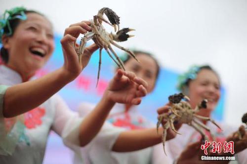 10月2日，“渔姑娘”展示新鲜捕捞的洪泽湖大闸蟹。当日，江苏省螃蟹主产区之一的淮安洪泽区西顺河镇大闸蟹开捕并批量上市，供应各地节日市场。<a target='_blank' href='http://www.chinanews.com/'>中新社</a>记者 泱波 摄