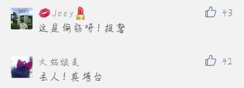 夫妻在迪士尼顺走别人童车:要放包 有孩子了不起啊