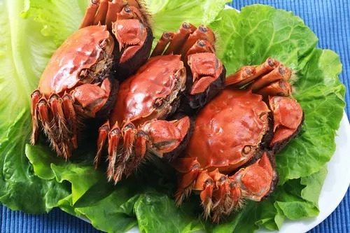 螃蟹并非人人都能吃 这5类人吃多了有害