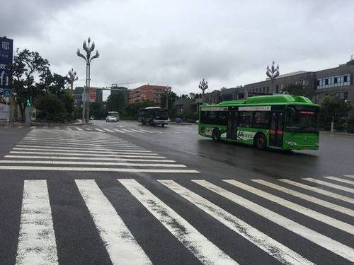 小学生作文吐槽公交拥挤人成纸壳 交通局回信亮了