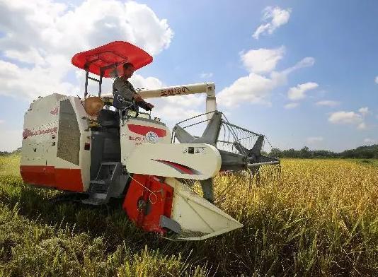 媒体：农村土地市场再放开些 也乱不起来