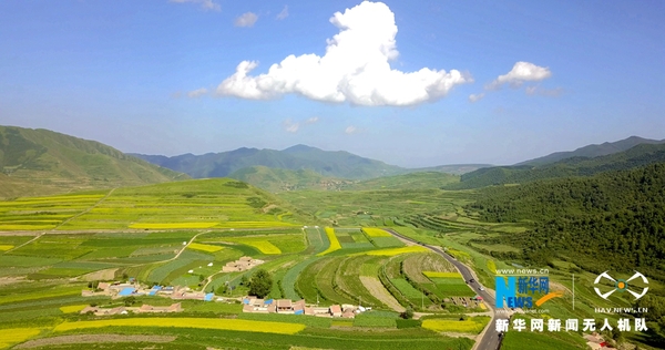 1123170437_15324197971711n