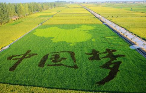 QQ截图20180930154934 QQ截图20180930154934