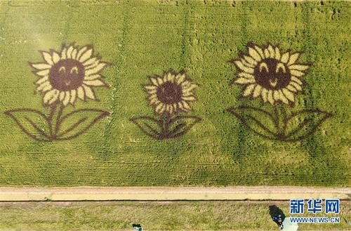 点击进入下一页