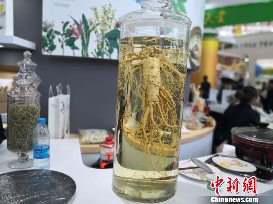 图为中国(甘肃)中医药产业博览会上展出的中药材。　李亚龙 摄