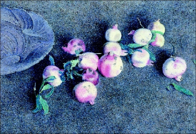     石榴之一（油画）2014年  王羽天  作