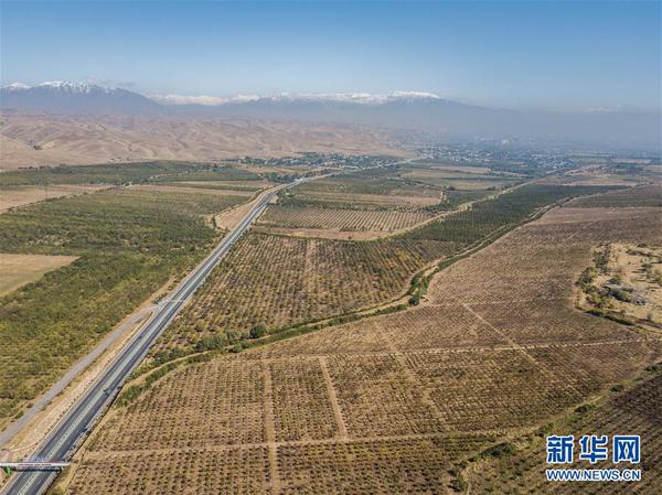 1123556290_15394996825191n