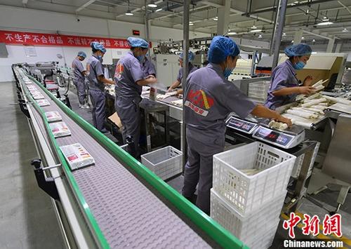 资料图。 <a target='_blank' href='http://www.chinanews.com/'>中新社</a>记者 刘新 摄