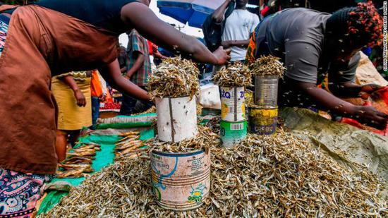 肯尼亚宣布将禁止进口中国产鱼类:因价格便宜畅销