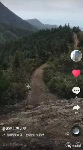 百万豪车跌下悬崖:疑抖音吸粉摆拍 警方未接到报警