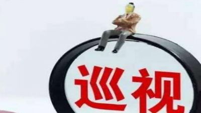 十九届中央第一轮巡视