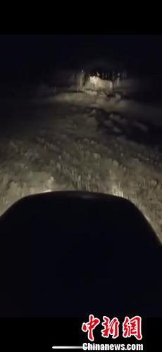 黑龙江抚远时隔4年再现东北虎踪迹目测约400多斤重