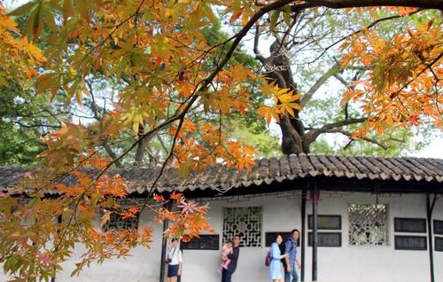 苏州一日游成一日购 旅游局:从严从快处理