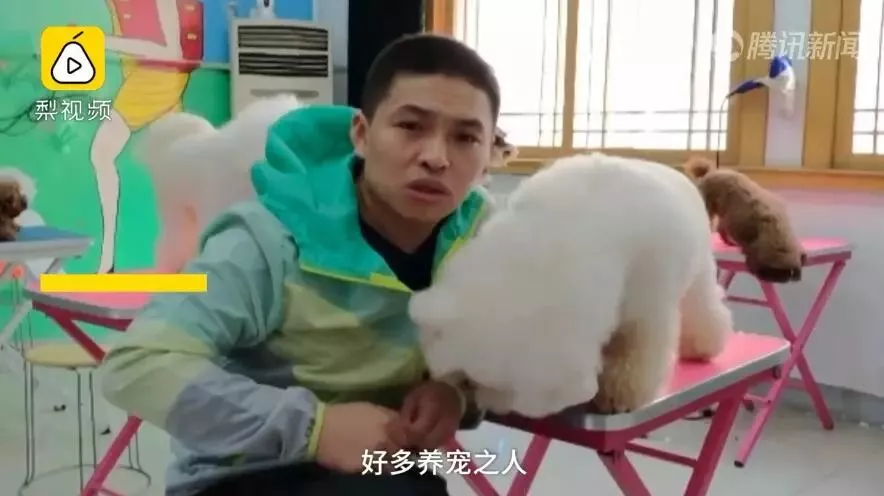 济南现共享宠物狗：养一天收费30元 不想养了就退 