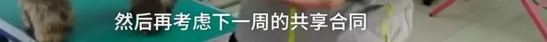 济南现共享宠物狗：养一天收费30元 不想养了就退 