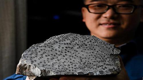 北京化石村成网红打卡地:满山是人 化石被挖走