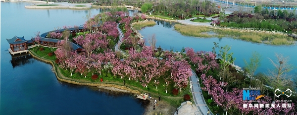 1122652623_15232363479221n 1122652623_15232363479221n