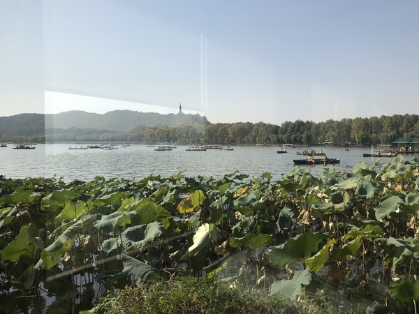 微信图片_20181112080944