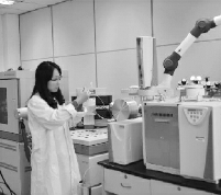 碳氮稳定同位素分析工作