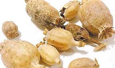 火锅好吃是罂粟壳作祟?专家:照片错把草果当罂粟壳