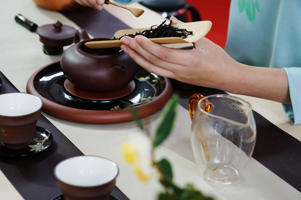 DSC00443（摄影：陈成）