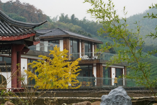 DSC00162（摄影：陈成）