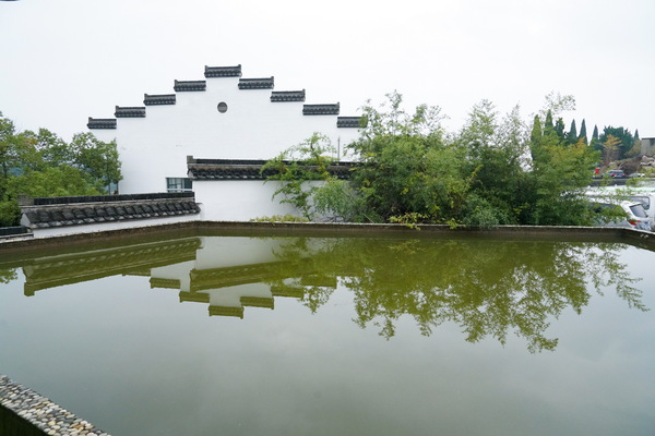 DSC00172（摄影：陈成）