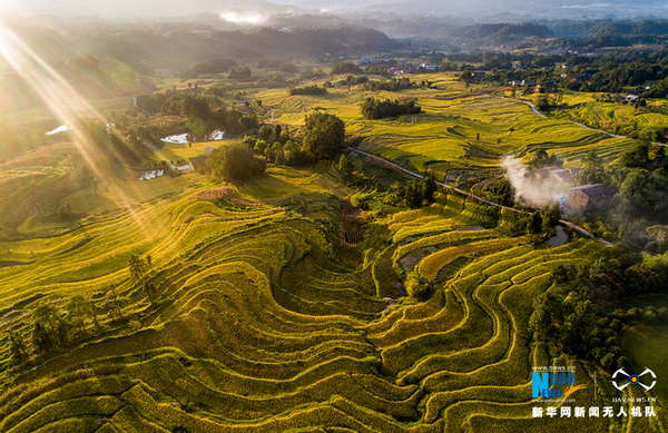 QQ截图20181122091218