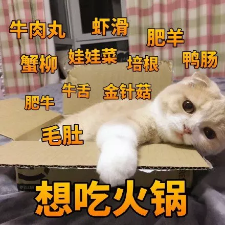 如果免费火锅只能吃三样菜你会选什么？网友吵翻