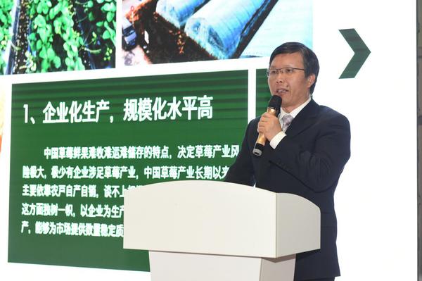 南京溧水区农业局局长陈晓燕发言