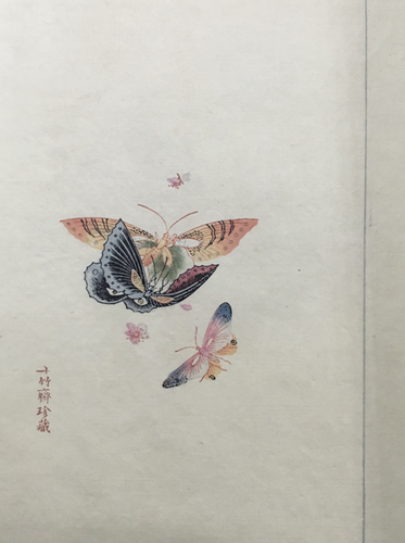 微信截图_20181130131559