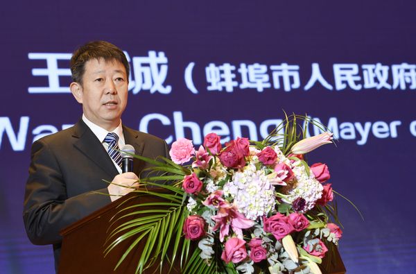 蚌埠市市长王诚发言