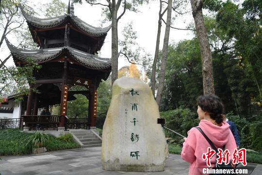 “杜甫千诗碑”吸引参观者?！“苍?摄