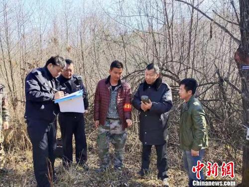 工作人员查看远红外相机记录 东北虎豹国家公园管理局天桥岭局供图 摄